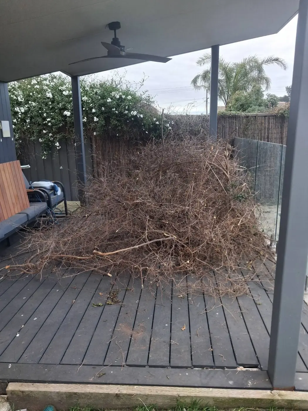 A deck piled high with cut branches and green waste