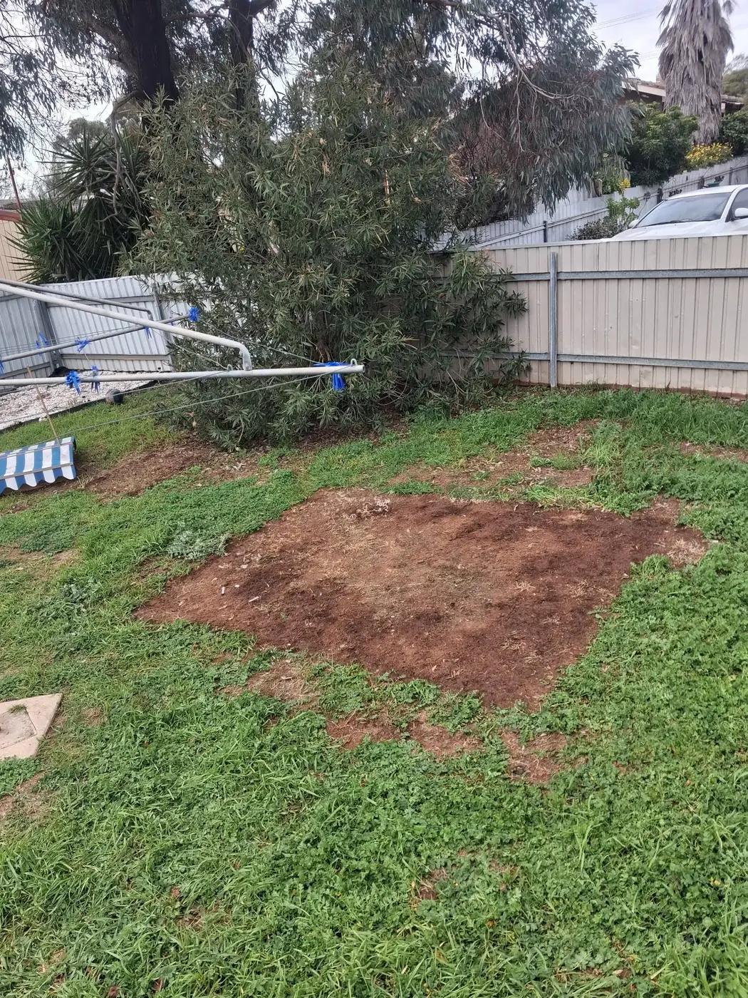 The same backyard cleared back to open grass